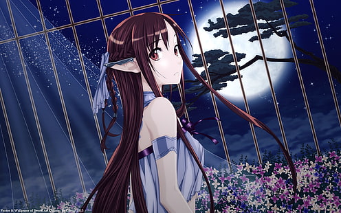 illustration de personnage anime femme aux cheveux bruns, anime, Sword Art Online, anime girls, Yuuki Asuna, elfes, lune, Alfheim Online, Fond d'écran HD HD wallpaper