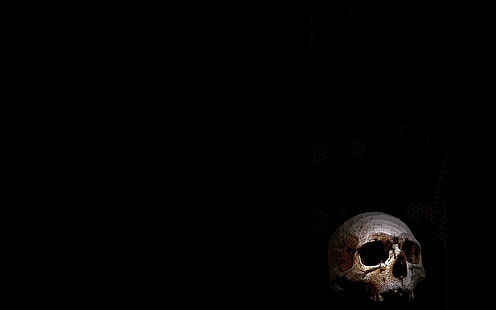 Sombre, crâne, Fond d'écran HD HD wallpaper