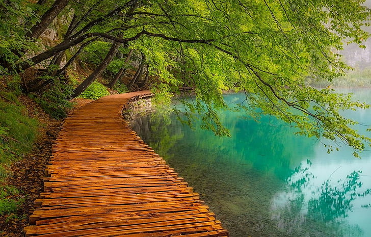 озеро, тропинка, Хорватия, вода, природа, Национальный парк Плитвицкие озера, фотография, аллея, деревья, пейзаж, бирюза, HD обои