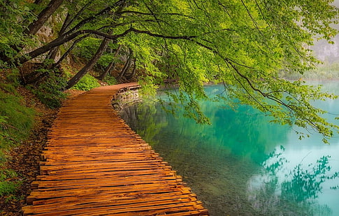 wooden footbridge near body of water, landscape, photography, nature, walkway, lake, trees, path, turquoise, water, Plitvice National Park, Croatia, HD wallpaper HD wallpaper