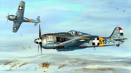 Segunda Guerra Mundial, fw 190, Focke-Wulf, Luftwaffe, Alemania, militar, avión, avión militar, avión, Fondo de pantalla HD HD wallpaper