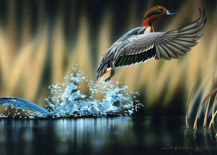 alam, burung, lukisan, karya seni, seni digital, Wallpaper HD