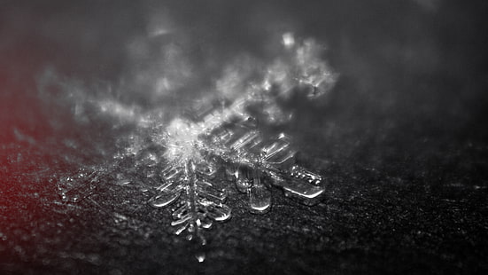clear snowflakes, closeup photo of snowflake, macro, snow flakes, HD wallpaper HD wallpaper