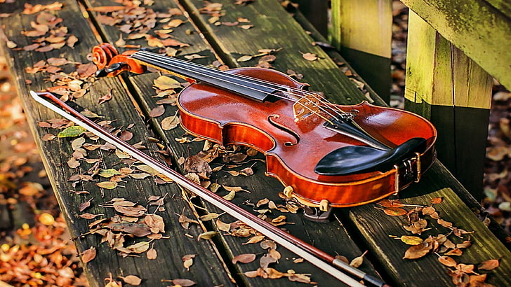 violin, bench, bow, leaves, HD wallpaper