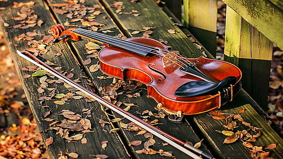 скрипка, скамейка, смычок, листья, HD обои HD wallpaper