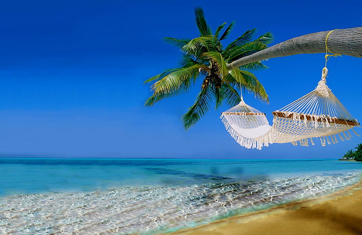 white hammock, sand, sea, beach, the sky, water, landscape, nature, palm trees, the ocean, stay, hammock, sky, ocean, vacation, ammock, HD wallpaper
