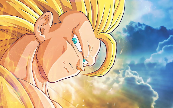 Goku 3d Wallpaper Download Image Num 86