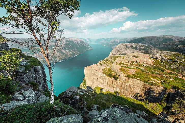 preikestolen norwegia góry drzewa morze urwisko skała kanion chmury lato natura krajobraz, Tapety HD