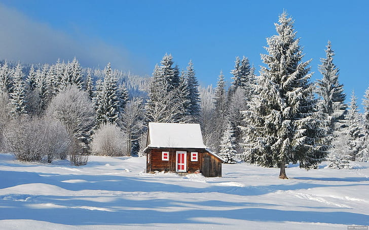 冬、森林、冬、小屋、自然と風景の素晴らしい赤のトリミングされた小屋、 HDデスクトップの壁紙