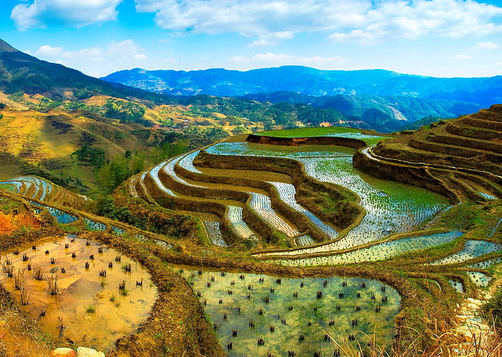 terraços de arroz verde, o céu, água, nuvens, montanhas, china, o jardim, HD papel de parede