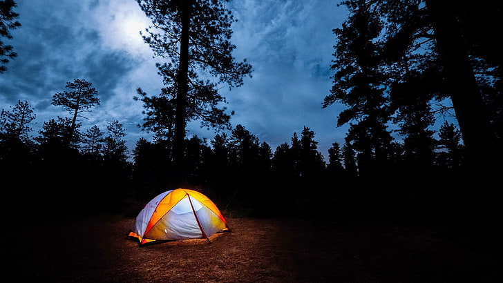 оранжево-белая купольная палатка, палатка, лес, HD обои