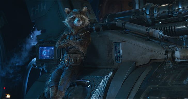 rocket raccoon, avengers infinity war, 2018 movies, movies, hd, HD wallpaper