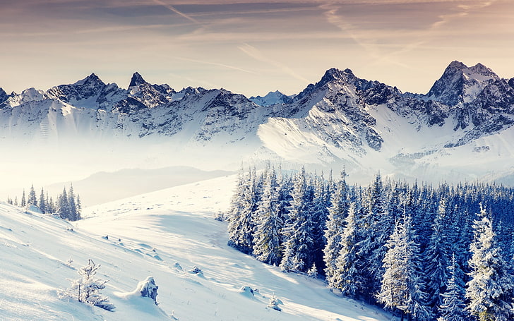 الطبيعة والشتاء والجبال والمناظر الطبيعية والثلج، خلفية HD