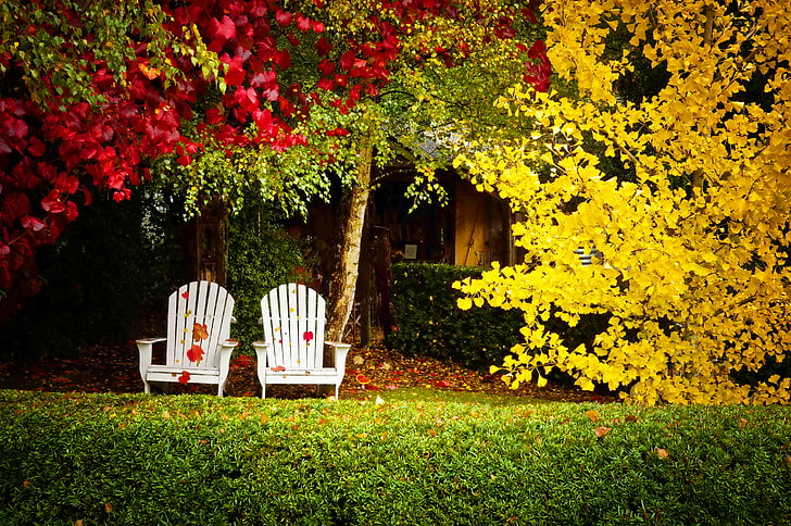 two white wooden Adirondack chairs, autumn, leaves, trees, nature, HD wallpaper