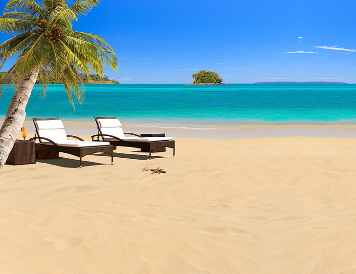 two brown loungers and palm tree, sea, beach, stars, shell, umbrellas, cocktail, sunbeds, tropic, HD wallpaper
