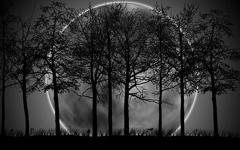 Forest Moon, forest, trees, black, grass, moon, white, 3d and abstract, HD wallpaper HD wallpaper