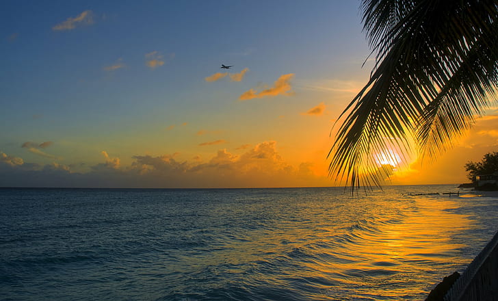 fotografi av soluppgång, barbados, barbados, Barbados, fotografi, soluppgång solnedgång, plan, himmel, färgrik, palm, moln, vatten, hav, kväll, orange, humör, vacker, solnedgång, natur, strand, sommar, tropiskt klimat, sol, skymning, semester, kust, solljus, HD tapet