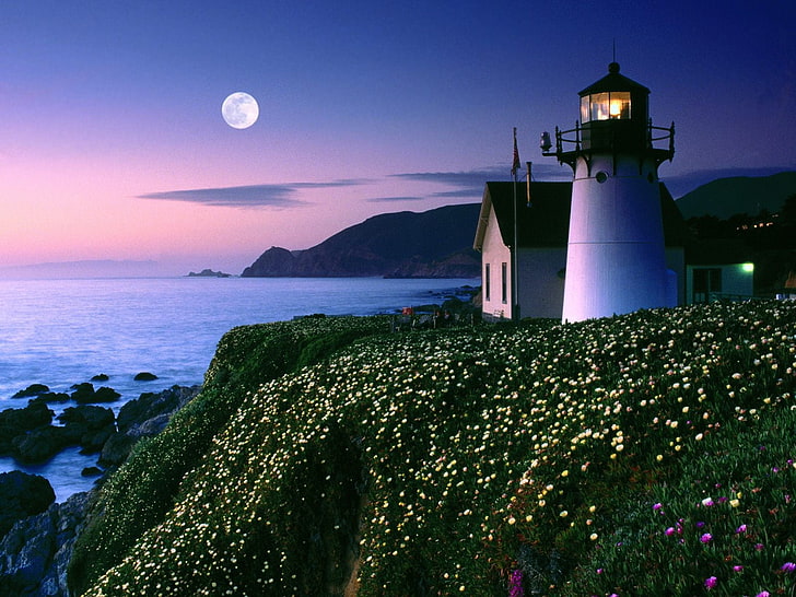 white lighthouse, lighthouse, coast, sea, Moon, flowers, dusk, HD wallpaper