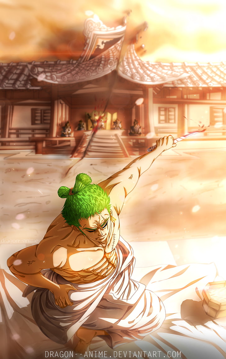 Roronoa Zoro, One Piece, anime, HD wallpaper
