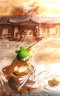 Ророноа Зоро, One Piece, аниме, HD обои HD wallpaper