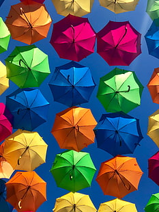 الكثير مظلة متنوعة الألوان ، المظلات ، ملونة ، السماء ، مشمس، خلفية HD HD wallpaper