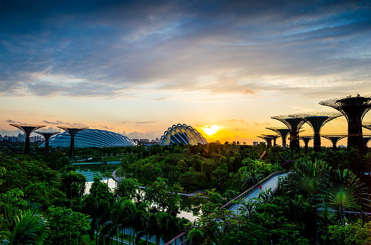 trees, bridge, design, Park, dawn, garden, Singapore, river, structure, Gardens by the Bay, HD wallpaper