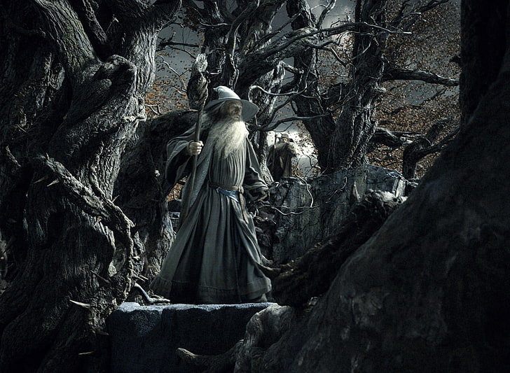 trollkarl, Gandalf, Radagast, The Hobbit: The Desolation of Smaug, Ian McKellen, filmer, HD tapet