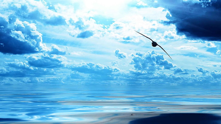 sky, water, sea, ocean, calm, horizon, atmosphere, wave, bird, flight, cloud, blue ocean, daytime, blue sea, blue water, bluish, HD wallpaper