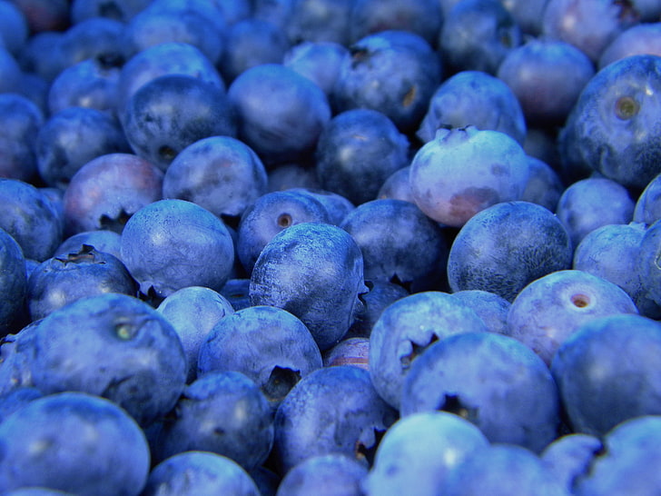 bunch of blueberries, bilberry, blueberry, berries, HD wallpaper