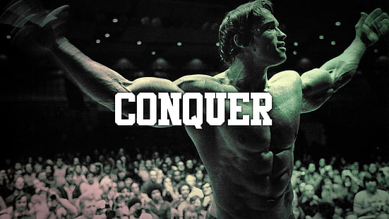 Arnold, musculação, conquistar, músculo, schwarzenegger, HD papel de parede HD wallpaper