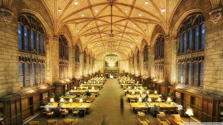 مكتبة هاربر التذكارية في شيكاغو ، أضواء ، طاولات ، مكتبة ، قوطية ، غرفة قراءة ، طبيعة ومناظر طبيعية، خلفية HD