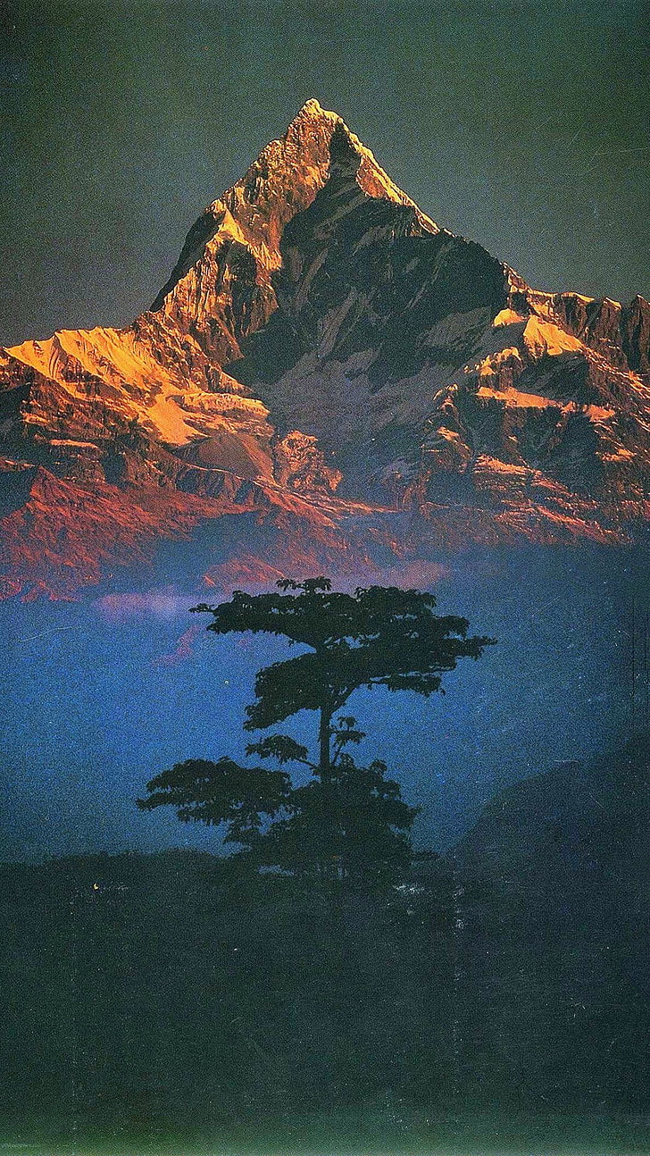 портретен дисплей, пейзаж, дървета, анапурна, планини, слънчева светлина, снежна планина, природа, Непал, филтър, HD тапет, тапет за телефон