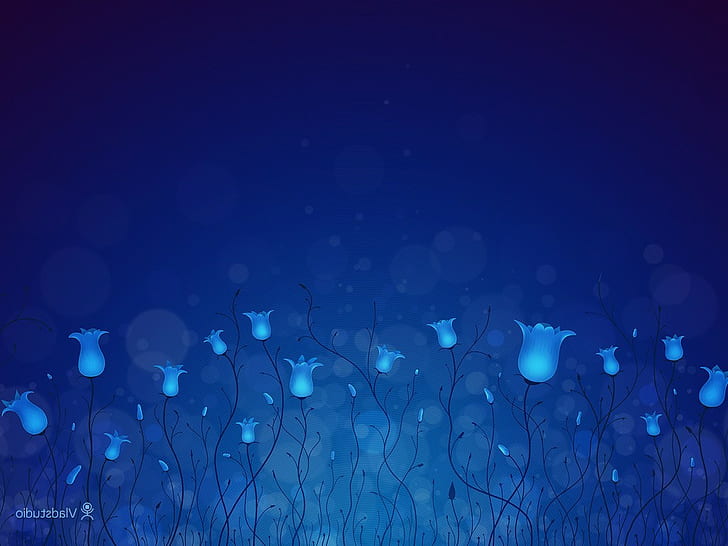 Fond bleu, fleurs, Vladstudio, Fond d'écran HD