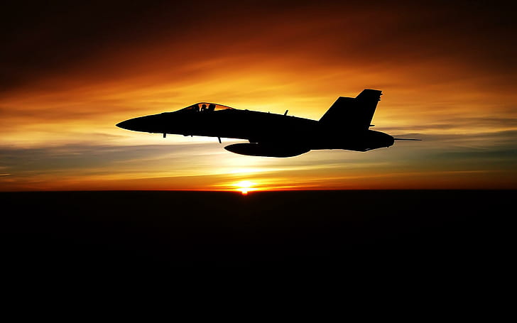 F18 Hornet Sunset, jet fighter, avispón, puesta de sol, avión, Fondo de pantalla HD