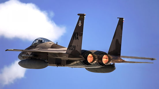 avión de combate gris, fuerza aérea, caza a reacción, águila F15, militar, Fondo de pantalla HD HD wallpaper
