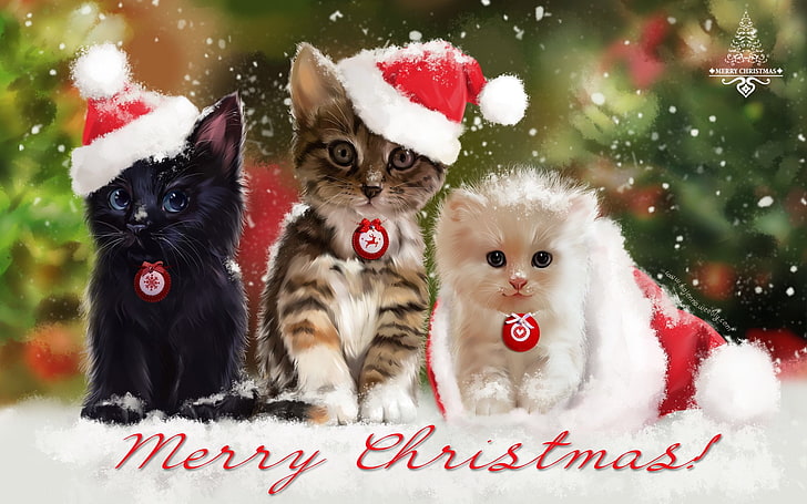 休日、クリスマス、猫、かわいい、メリークリスマス、絵画、サンタ帽子、 HDデスクトップの壁紙