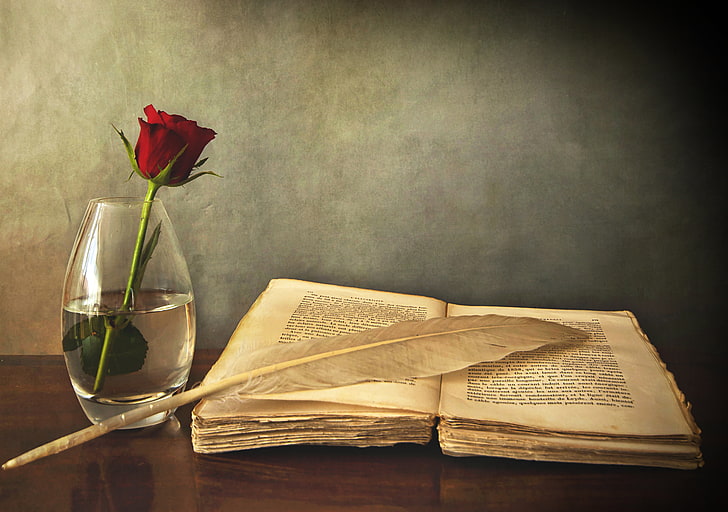 وردة حمراء؛ إناء من الزجاج الشفاف كتاب؛ ريشة بيضاء ، كتاب ، قديم ، قلم ، طاولة ، مزهرية ، وردة ، حمراء، خلفية HD