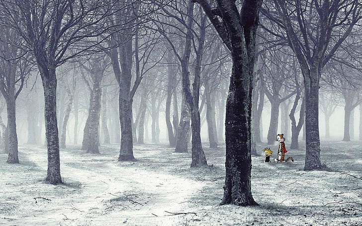 Калвин и Хобс, сняг, дървета, зима, HD тапет
