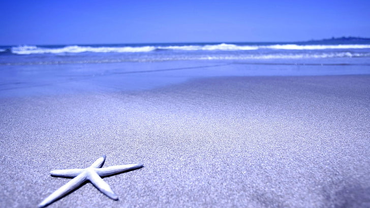 вода, ваканция, лято, синкаво, ваканция, пясък, крайбрежие, плаж, вятърна вълна, море, вълна, спокойствие, хоризонт, бряг, океан, небе, морска звезда, HD тапет