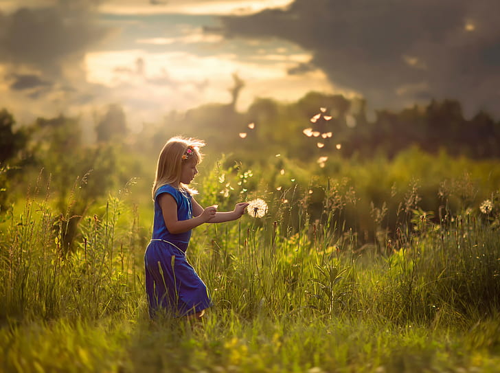Kleines Mädchen auf dem Sommergebiet, Mädchen, Gebiet, Sommer, Sun., HD-Hintergrundbild
