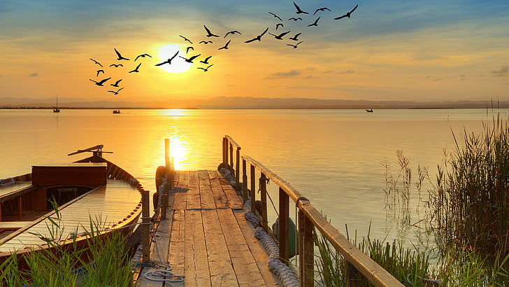 lake, stunning, amazing, boat, reeds, reflection, nature, birds, sunlight, pier, sky, calm, shore, lakeside, morning, dawn, horizon, sunrise, water, HD wallpaper