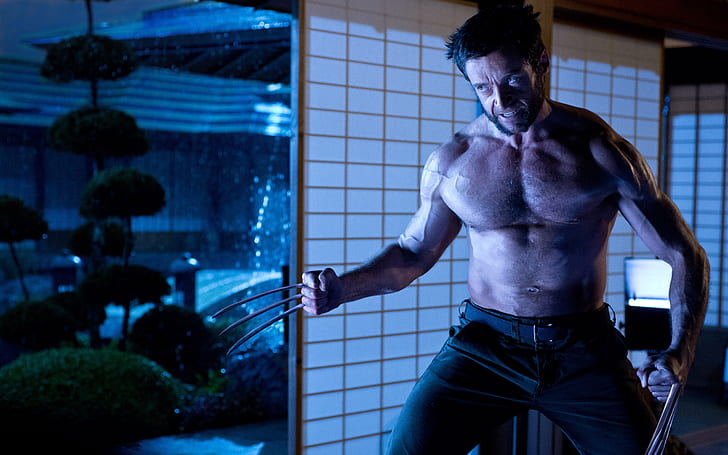 The Wolverine 2 Hugh Jackman, wolverine, hugh, jackman, filmer, HD tapet