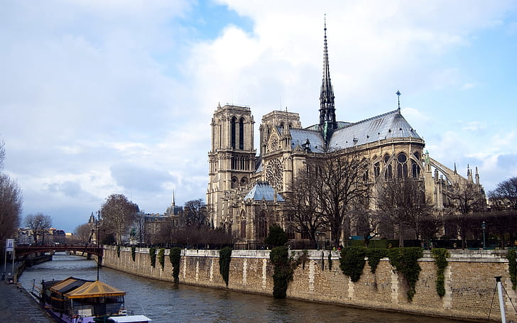 Notre Dame de Paris, gotica, cattolica, cattedrale, Sfondo HD