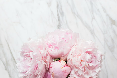 Blumen, Blumenstrauß, Marmor, Rosa, Pfingstrosen, zart, HD-Hintergrundbild HD wallpaper