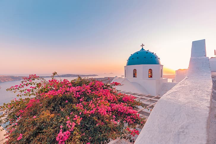 sea, Santorini, Greece, Church, the dome, the bushes, Oia, The Aegean sea, Aegean Sea, bougainvillea, HD wallpaper