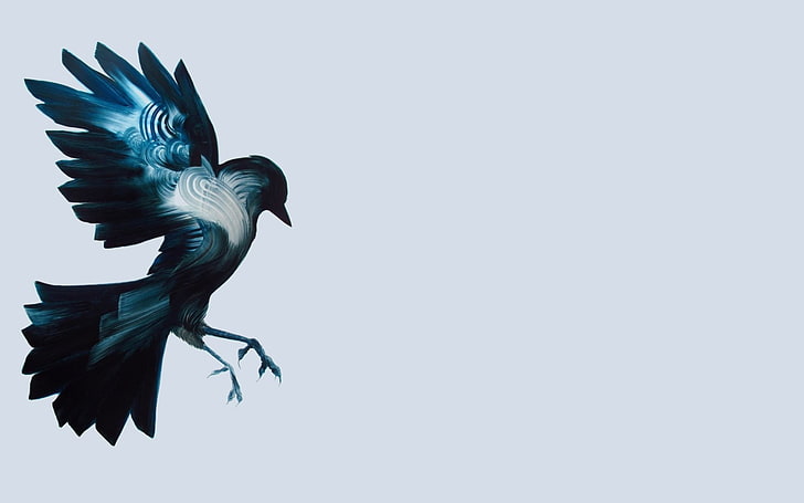 wektorowa ilustracja niebieski i biały ptak, ptaki, grafika, proste tło, zwierzęta, sztuka cyfrowa, Tapety HD