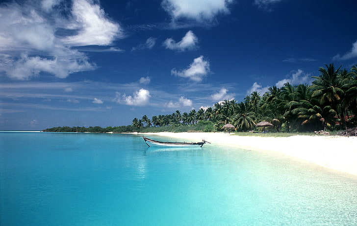 brązowo-biała łódź, plaża, palmy, łódź, chmury, morze, Tapety HD