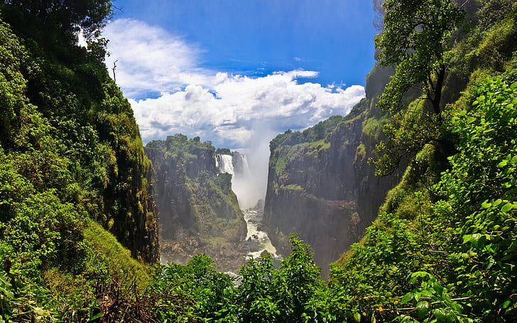 Victoria Falls, grönt bladväxt, vattenfall, zambezi flod, zambia, zimbabwe, HD tapet