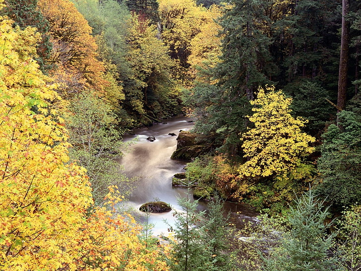 Fluss, Bäume, Fluss, Wasserfall, z, HD-Hintergrundbild
