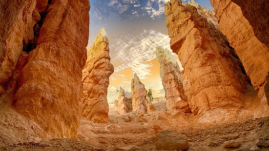 canyon, rock, rock formation, bryce canyon national park, pillar, hoodoos, landscape, cliff, desert, national park, badlands, escarpment, united states, utah, HD wallpaper HD wallpaper